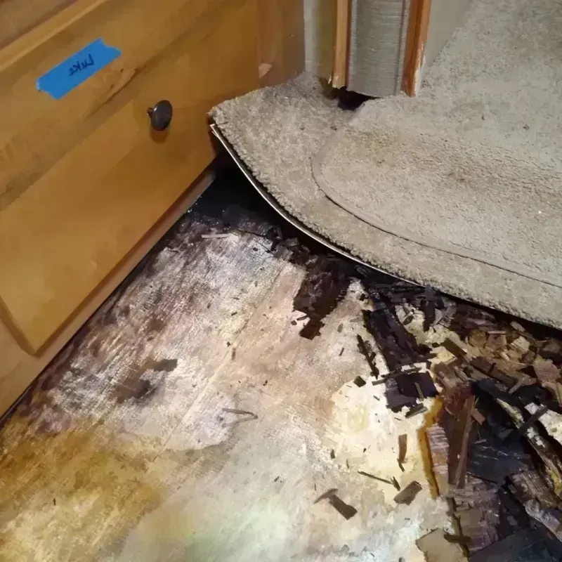 Best Wood Floor Water Damage Service in Gibsonia, FL